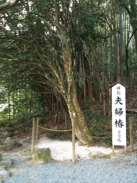 ⛩️ 야에가키 신사 이미지 4